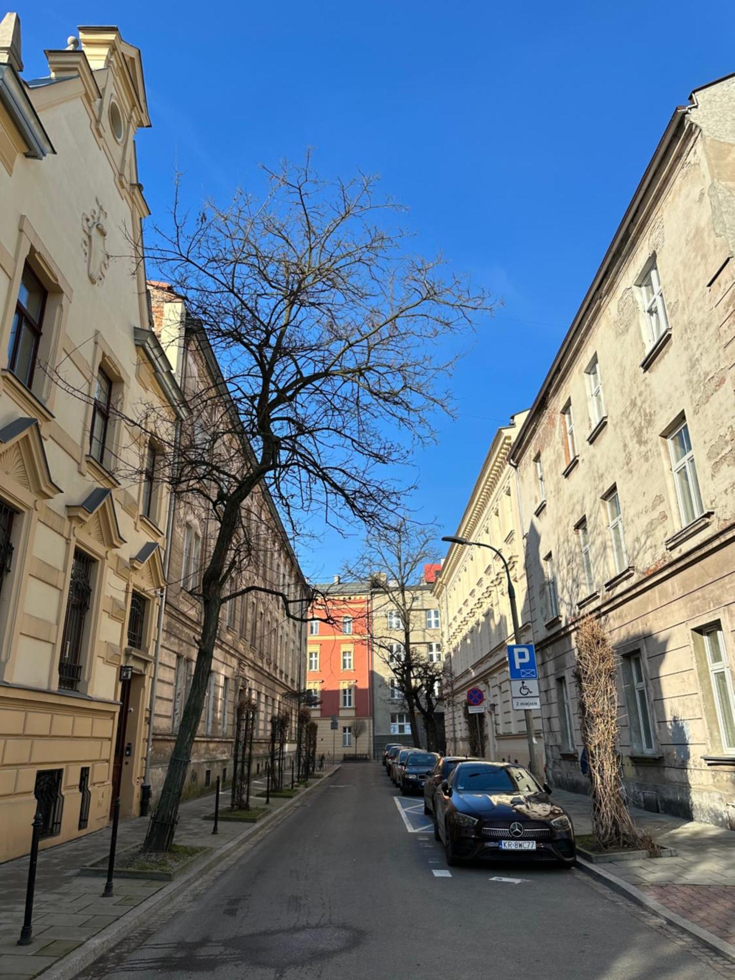Perfect Place To Stay In Krakow City Center 40M2 W4 Dış mekan fotoğraf